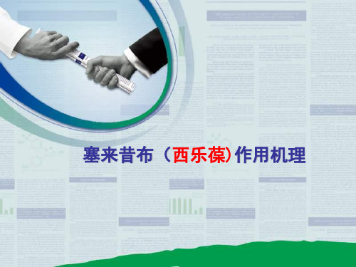 塞来昔布作用机理