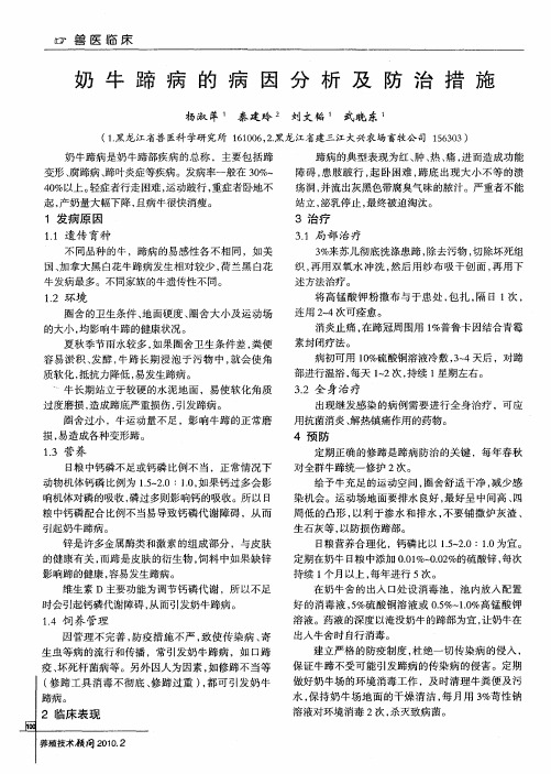 奶牛蹄病的病因分析及防治措施