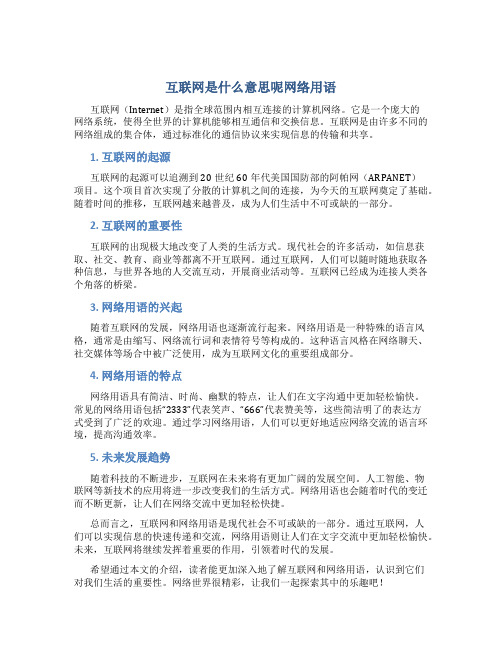 互联网是什么意思呢网络用语