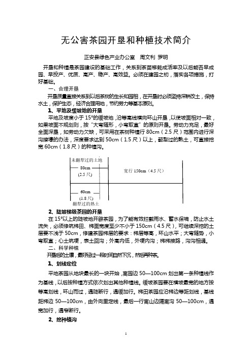 无公害茶园开垦和种植技术简介