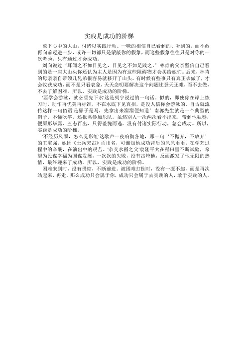 实践是成功的阶梯