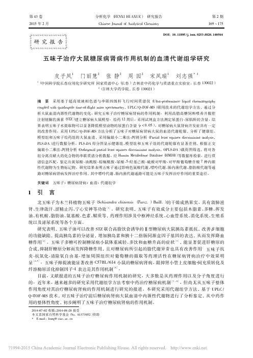 (黄尿酸)五味子治疗大鼠糖尿病肾病作用机制的血清代谢组学研究_皮子凤