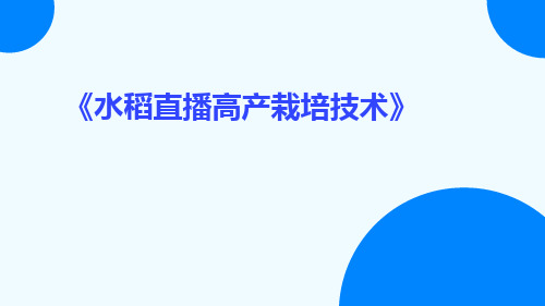 水稻直播高产栽培技术