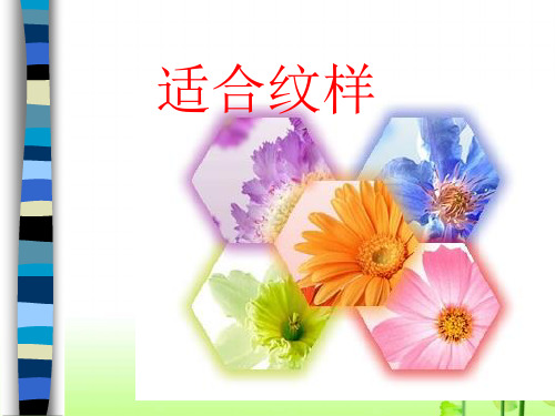 五年级上册美术《适合纹样》 浙美版PPT教学课件