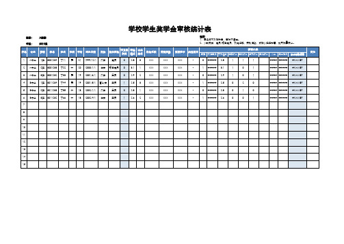 学校学生奖学金审核统计表