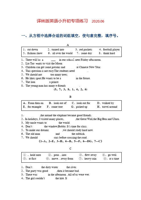 2020年小升初英语专项练习含答案