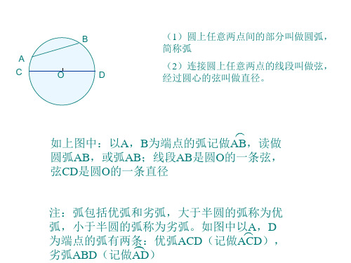 圆的对称性(1)