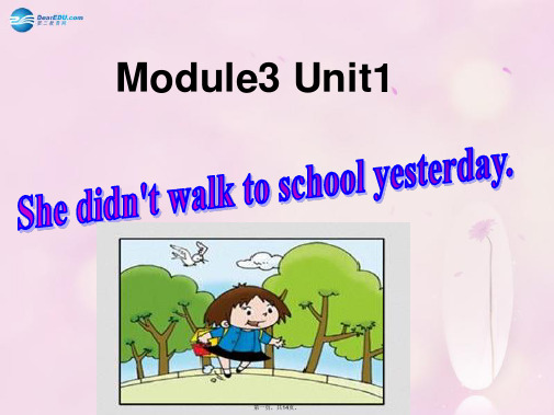 四年级英语上册 Module 3 Unit 1 She didn’t walk to school 