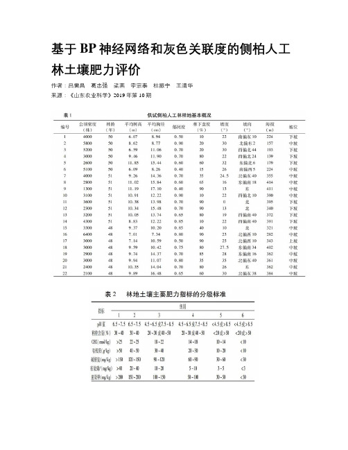 基于BP神经网络和灰色关联度的侧柏人工林土壤肥力评价