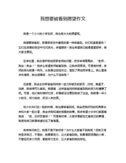 我想要被看到愿望作文