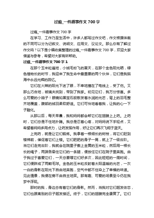 过瘾_一件趣事作文700字