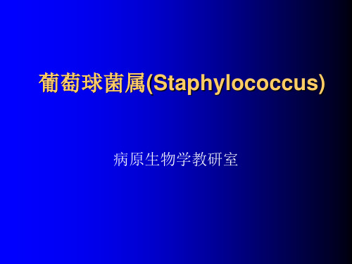 葡萄球菌属(Staphylococcus)