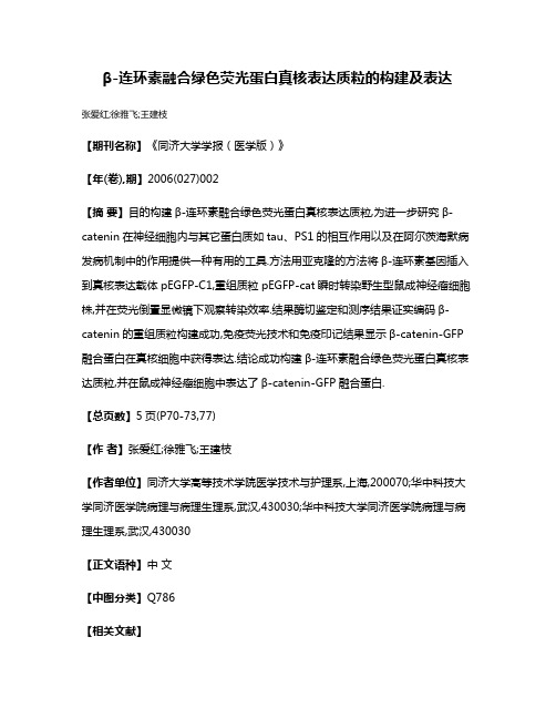 β-连环素融合绿色荧光蛋白真核表达质粒的构建及表达