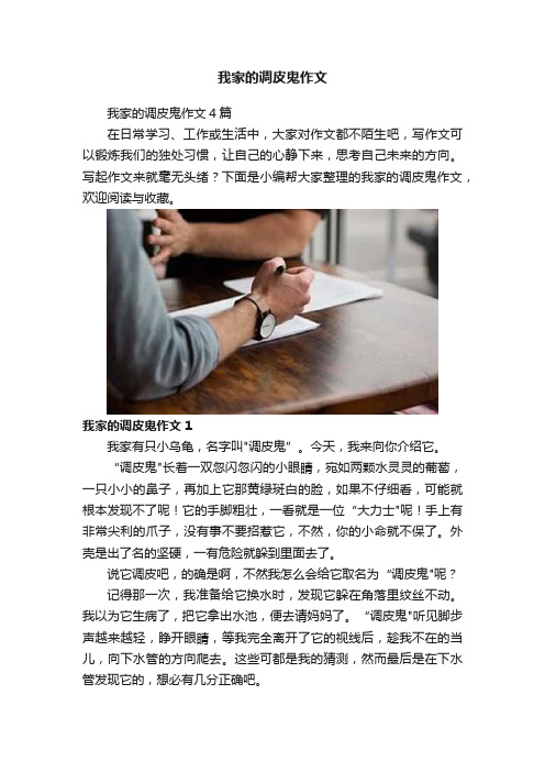 我家的调皮鬼作文