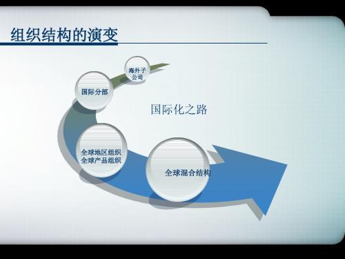 跨国企业创新性组织结构