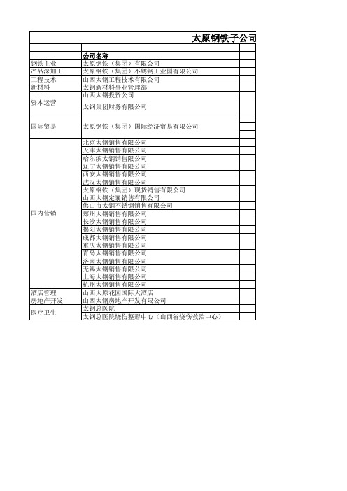 太原钢铁集团子公司列表