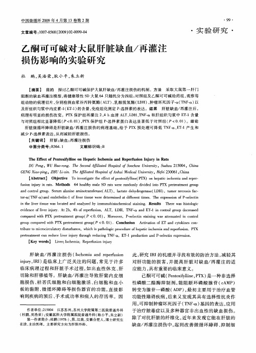 乙酮可可碱对大鼠肝脏缺血／再灌注损伤影响的实验研究