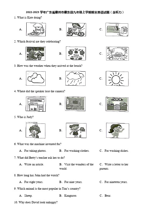 2022-2023学年广东省惠州市惠东县九年级上学期期末英语试题(含听力)
