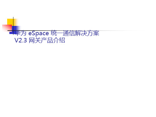 eSpace-统一通信解决方案网关产品介绍