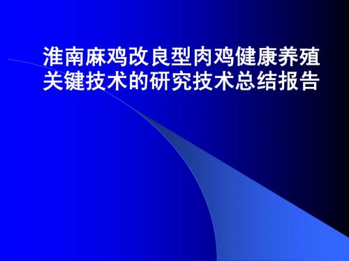 淮南麻鸡改良型肉鸡健康养殖