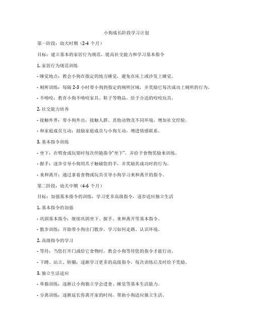 小狗成长阶段学习计划