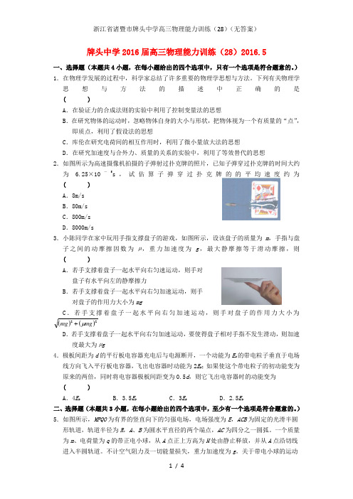 浙江省诸暨市牌头中学高三物理能力训练(28)(无答案)