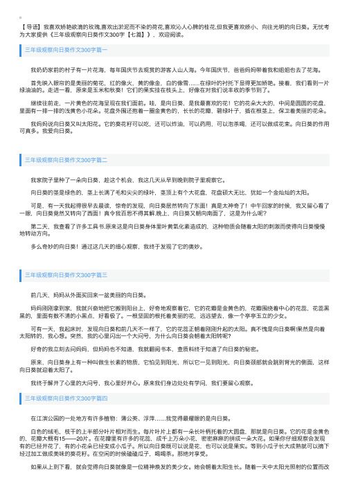 三年级观察向日葵作文300字【七篇】