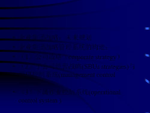 企业集团财务战略研讨21页PPT