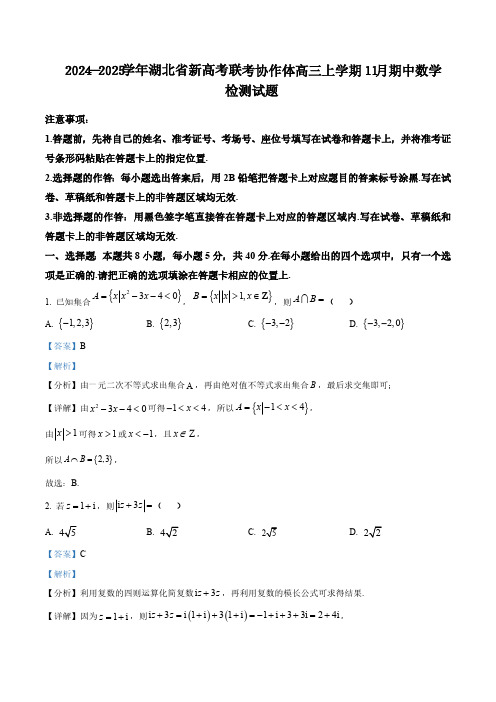 2024-2025学年湖北省新高考联考协作体高三上学期11月期中数学检测试题(含解析)