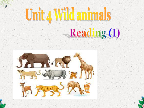 译林牛津版8A Unit 5 Wild animals Reading I教学课件(共16张PPT)