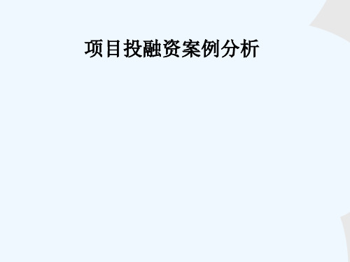 项目投融资案例分析_5642