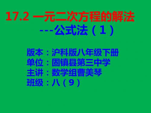 17.2一元二次方程的解法---公式法