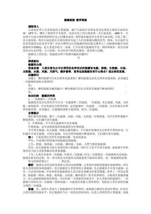 能源家族 教学简案