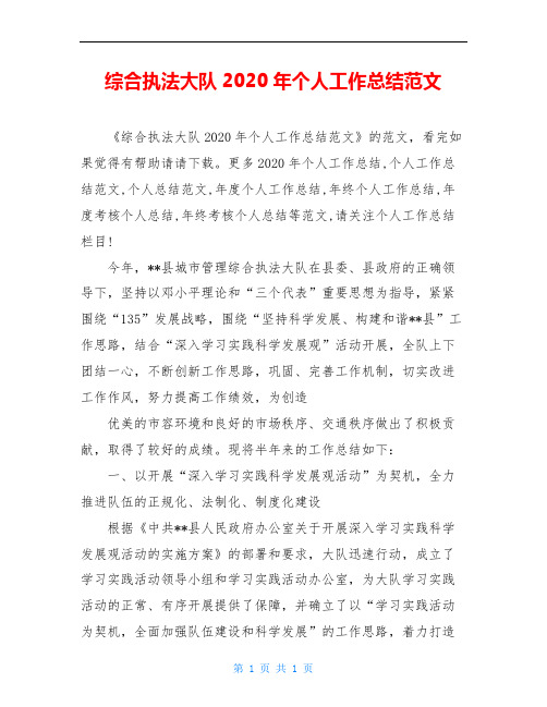 综合执法大队2020年个人工作总结范文