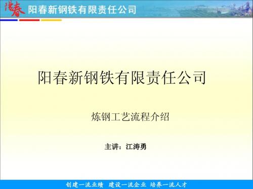 阳春新钢铁炼钢工艺介绍(11.06.21)