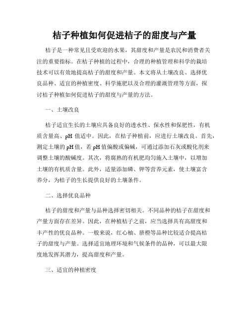 桔子种植如何促进桔子的甜度与产量