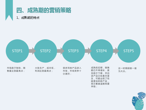 成熟期的营销策略