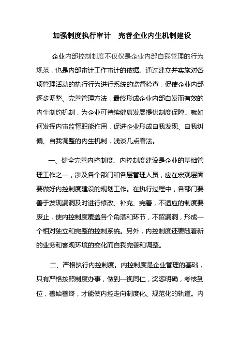 加强制度执行审计 完善企业内生机制建设