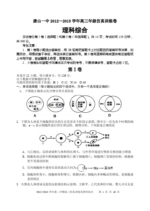 理综仿真