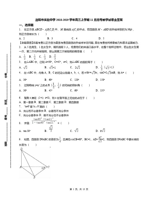 洛阳市实验中学2018-2019学年高三上学期11月月考数学试卷含答案