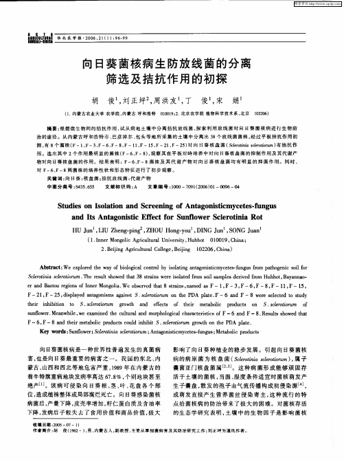 向日葵菌核病生防放线菌的分离筛选及拮抗作用的初探
