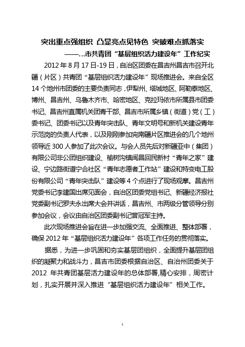 共青团工作纪实—突出重点强组织 凸显亮点见特色 突破难点抓落实