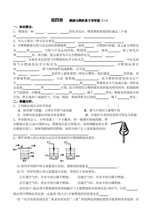 燃烧 燃料 复习导学案(一)