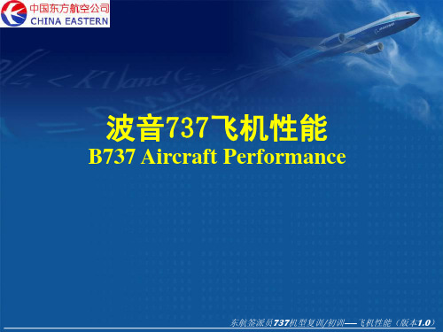 B737飞机性能基础-文档资料