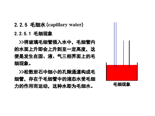 水文地质学-2.2.5 毛细水-精品文档