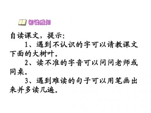 人教版小学语文二年级上册 窗前的气球 PPT 课件