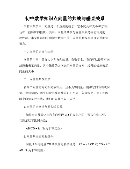 初中数学知识点向量的共线与垂直关系