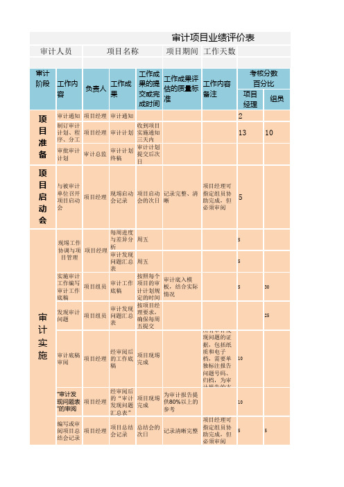 审计项目绩效评价表