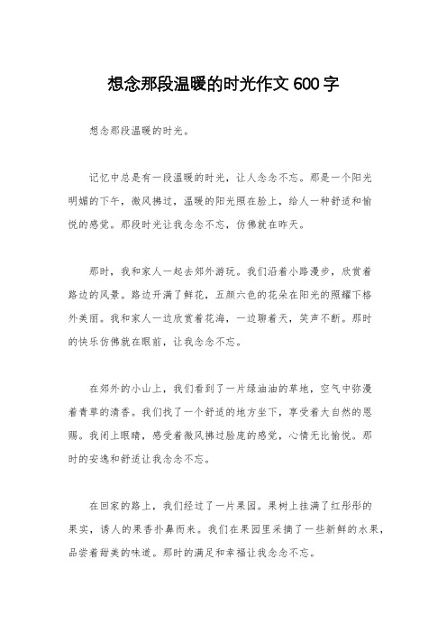 想念那段温暖的时光作文600字