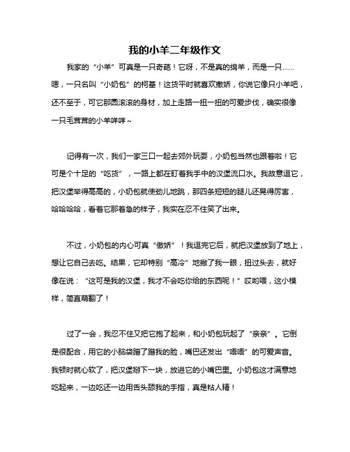 我的小羊二年级作文